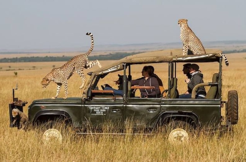 cosa-non-fare-safari-africa