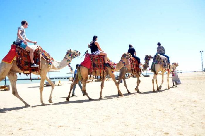 escursioni passeggiata sui cammelli lungo il mare