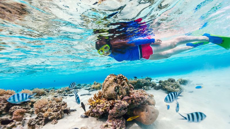snorkeling Maldive
