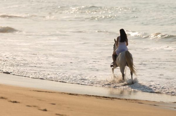 Passeggiate-a-Cavallo-sulle-spiagge-della-Florida