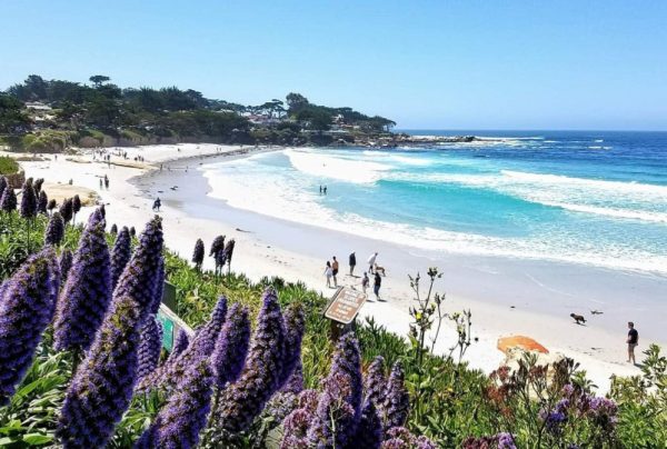 Carmel Beach