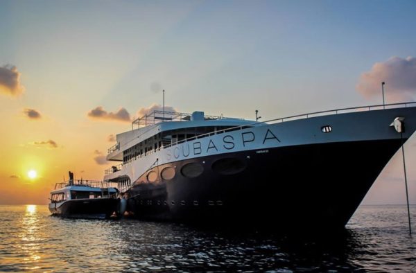 Liveaboard Maldive