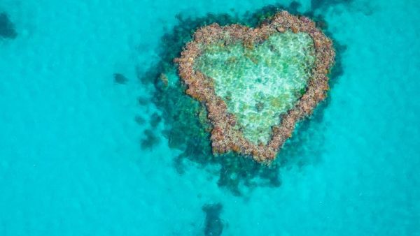 Heart Reef Australia Queensland