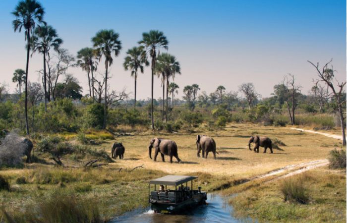 Safari su quattro ruote a Okavango Delta