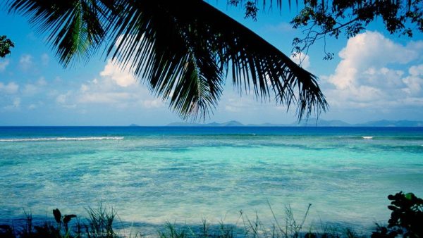 Mustique isola dei caraibi rifugio di VIP