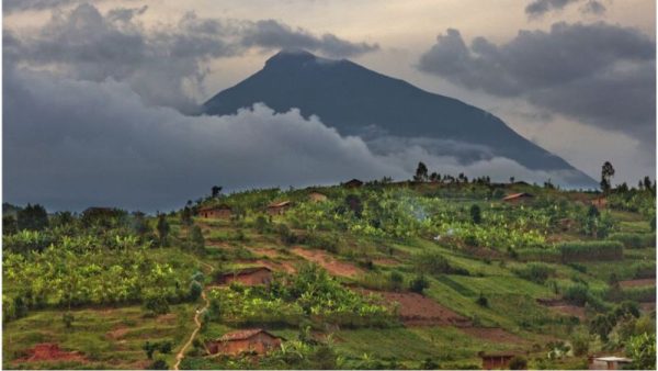 Il Parco Nazionale dei Vulcani ruanda
