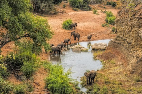 immagine-africa-acqua-