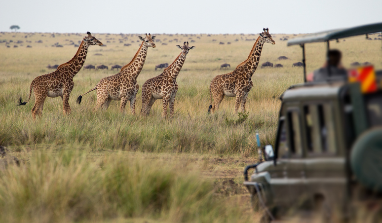 immagine-africa-giraffe