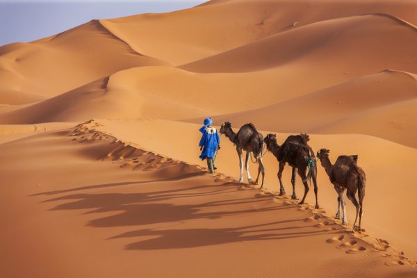 immagine-deserto-sahara-