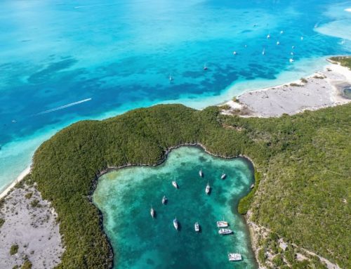 Caraibi: Un Sogno di Cristallo e Sabbia Dorata