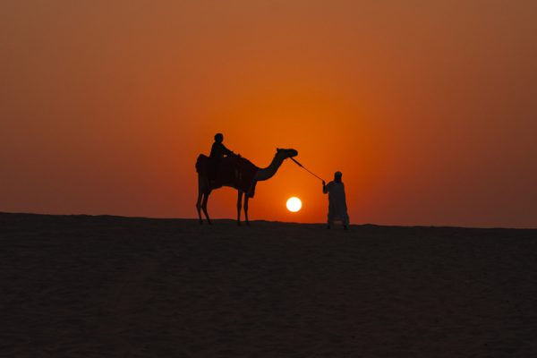 cammello-immagine-drdrto-tramonto-.