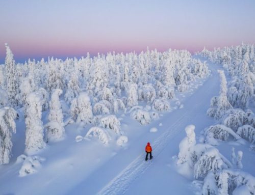 Finlandia: Un’Odissea Invernale tra Aurore Boreali, Slitte con i Lupi e Villaggi di Babbo Natale, un Viaggio che Incanta l’Anima